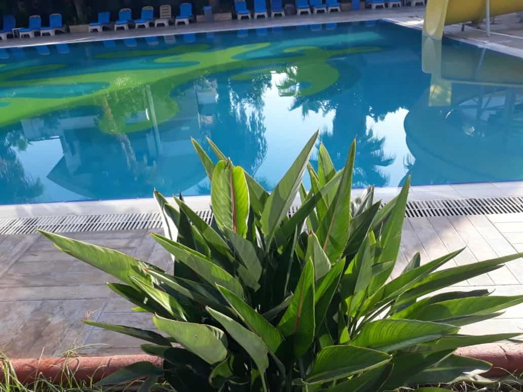 ホテル Club Jovia Kemer アンタルヤ エクステリア 写真