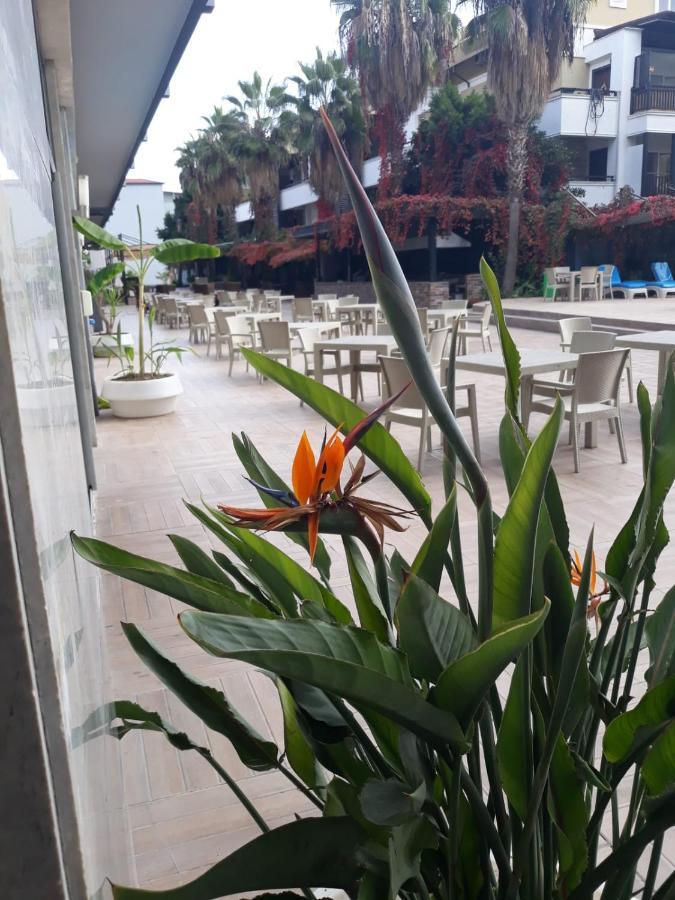 ホテル Club Jovia Kemer アンタルヤ エクステリア 写真