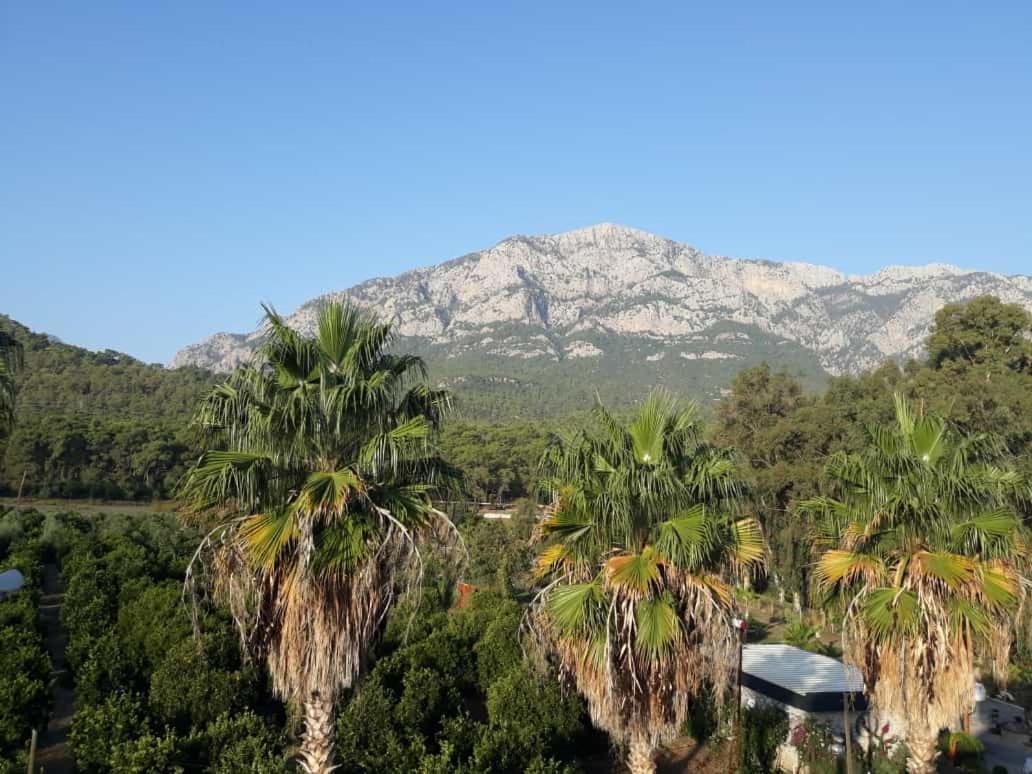 ホテル Club Jovia Kemer アンタルヤ エクステリア 写真